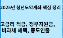 2025년 청년도약계좌 핵심 정리 고금리 적금과 정부 지원 혜택 총정리